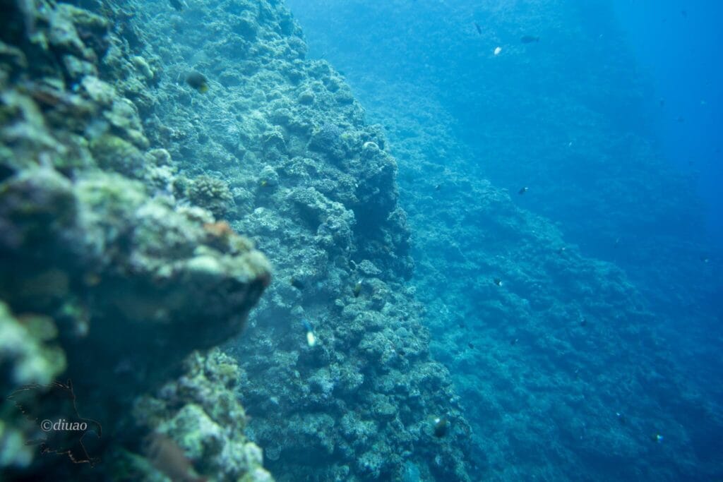 海中の岩場が連なる景色