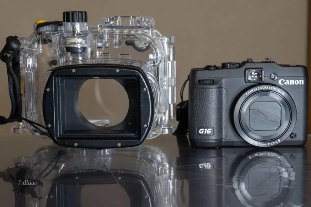 Canon Powershot G16】高級コンデジでの作例①【水中写真中心