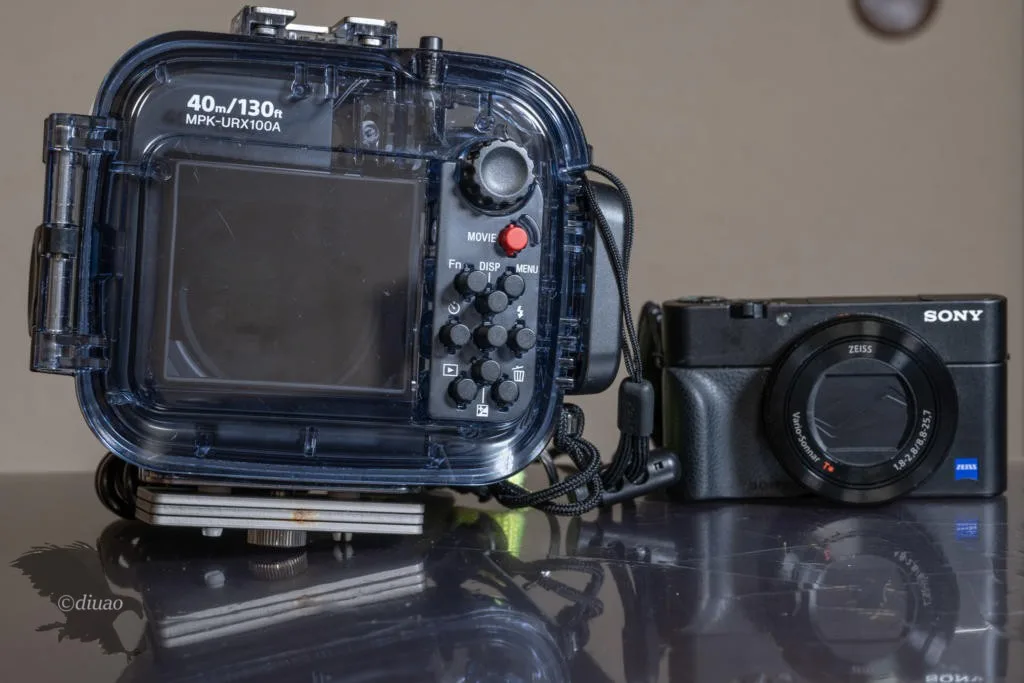 SONY RX100M5A】高級コンデジでの作例② | diuao Blog