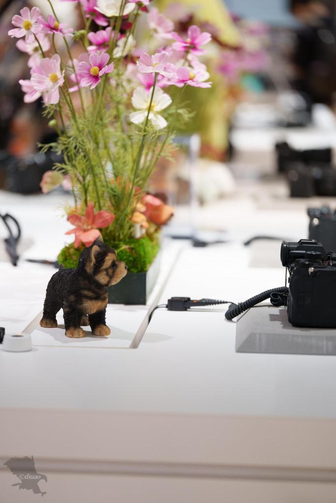 SEL100M28GMで引きで撮影した店内の様子